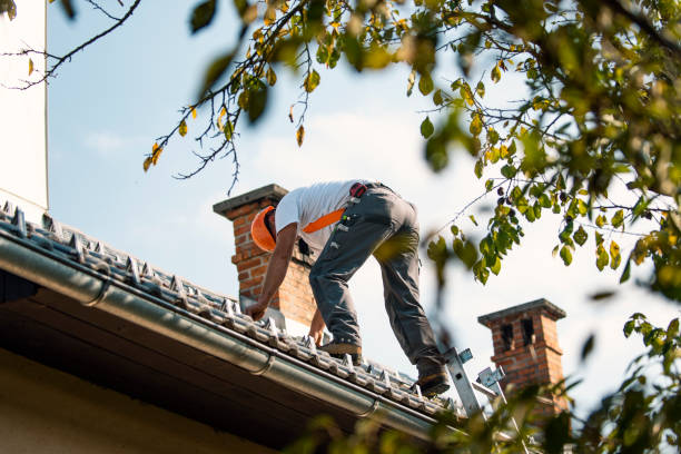 Best Metal Roofing Contractor  in North Lewisburg, OH