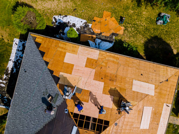 Best Affordable Roof Replacement  in North Lewisburg, OH