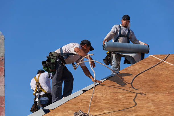 Best Roof Maintenance Services  in North Lewisburg, OH
