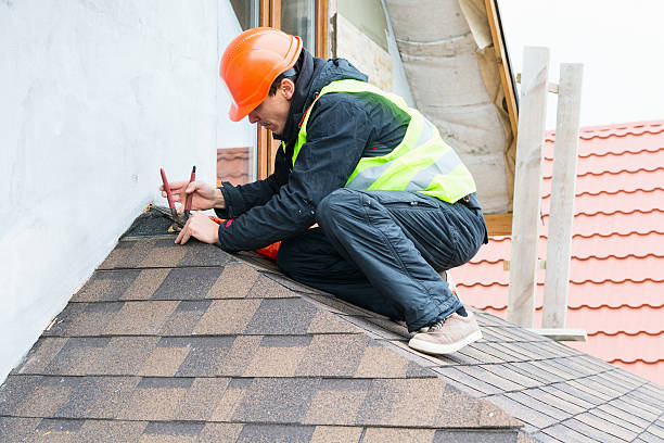 Best Roof Waterproofing Services  in North Lewisburg, OH