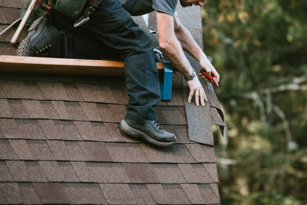 Best Gutter Installation and Roofing  in North Lewisburg, OH